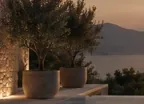 La terrasse